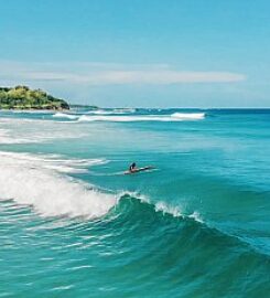 Iguana Surf Shop