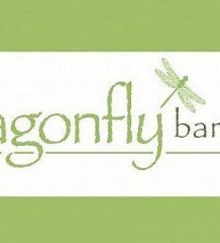Dragonfly Bar & Grill