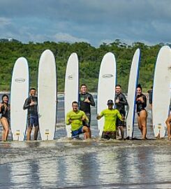 Iguana Surf Shop