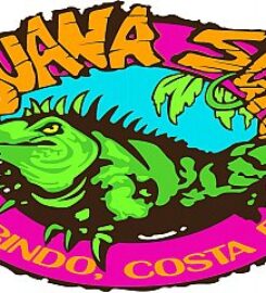 Iguana Surf Shop