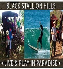 Black Stallion Hills