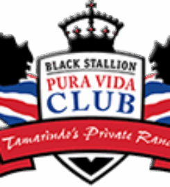 Black Stallion Hills