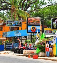 Banana Surf Club