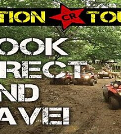 Action ATV Tours