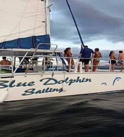Blue Dolphin Sailing