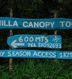 Pinilla Canopy Tour