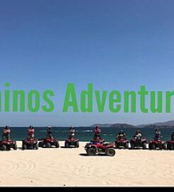 Pininos Adventures
