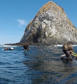 Tamarindo Diving Center