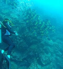 Tamarindo Diving Center
