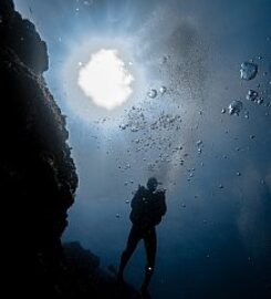 Tamarindo Diving Center