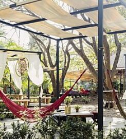 Hotel Mauna Loa