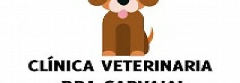 Clínica Veterinaria Dra. Carvajal