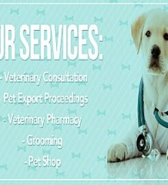 The Dogtor Pet Clinic