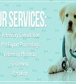 The Dogtor Pet Clinic