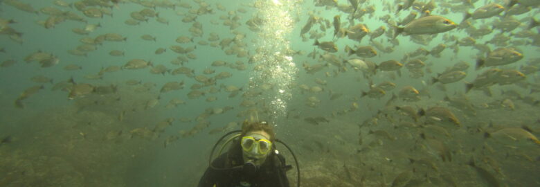 Be Water scuba diving Tamarindo
