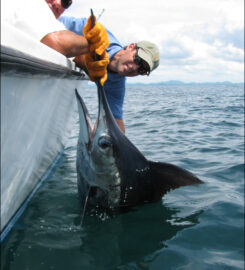 Tamarindo Sportfishing