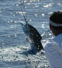 Tamarindo Sportfishing