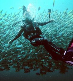 Diving Nomads