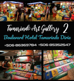 Tamarindo Art Gallery