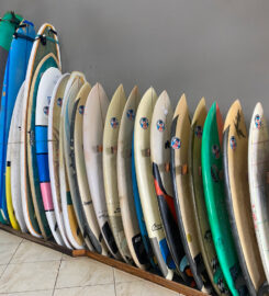 Surf Culture Surf Shop