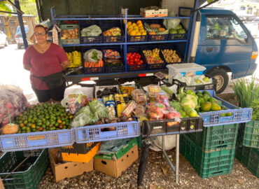 Fruit Cart by Ana