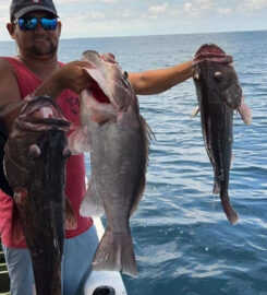 Fishing Tamarindo CR