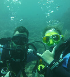 Tamarindo Diving