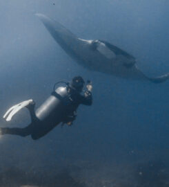 Tamarindo Diving