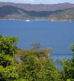 Flamingo Casa Miramar