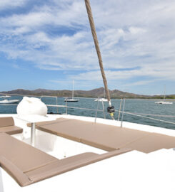 Manta Ray Private Charters