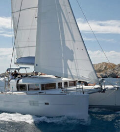 Manta Ray Private Charters