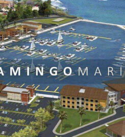 Marina Flamingo