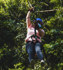 Monkey Jungle Zipline