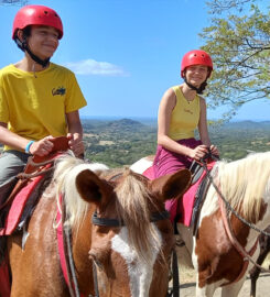 Monkey Jungle Zipline