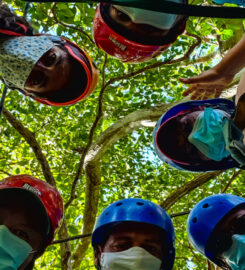 Monkey Jungle Zipline