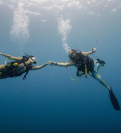 Pacific Coast Dive Center