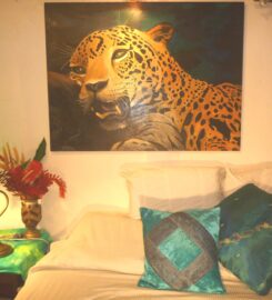 Cimerrio Paintings by Appointment Only